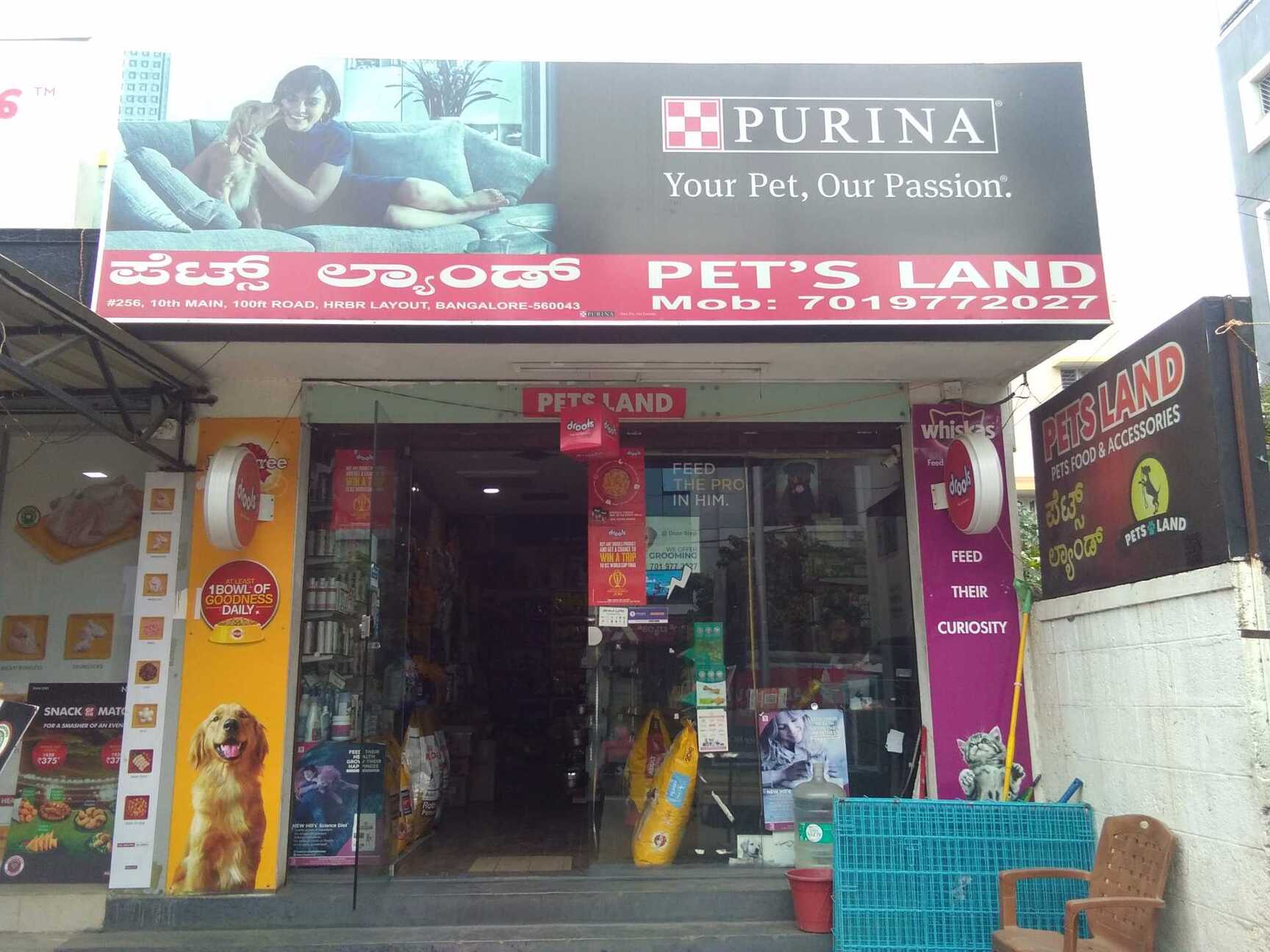 Pets Land in Dodda Banaswadi Bangalore Best Pet Shops For Persian Cat near me in Bangalore Justdial