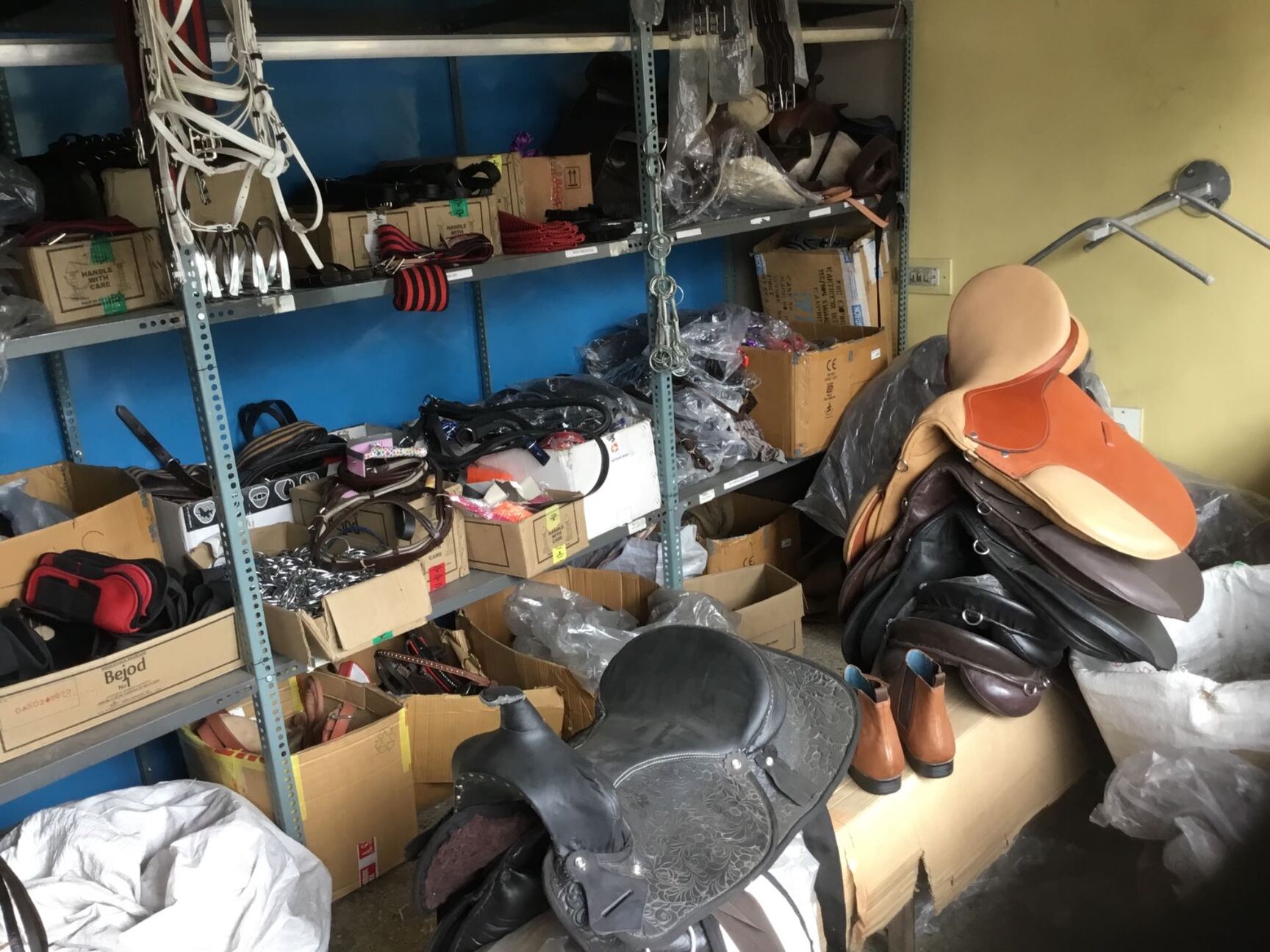 Riding accessories near me new arrivals
