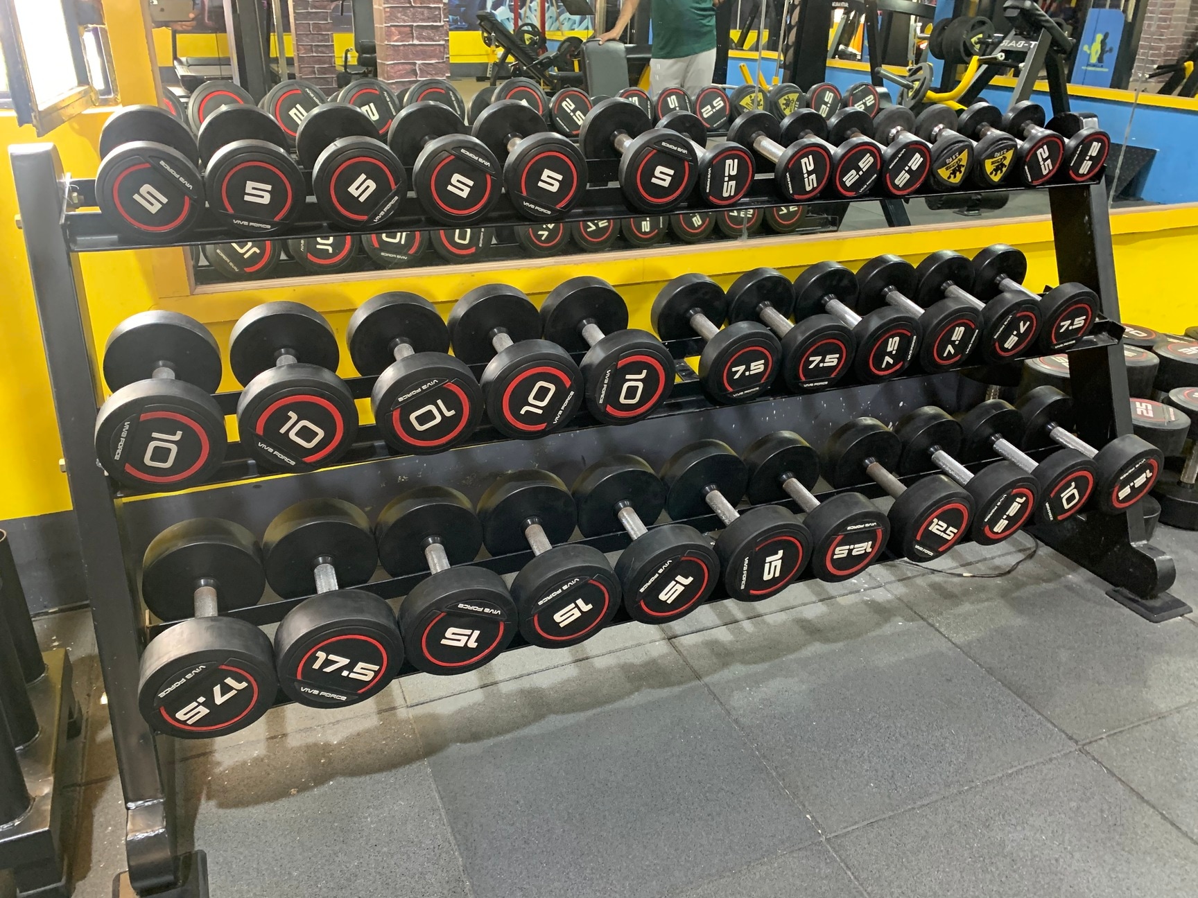 Muscle Fitness Center in Koramangala 8th Block,Bangalore Best Fitness