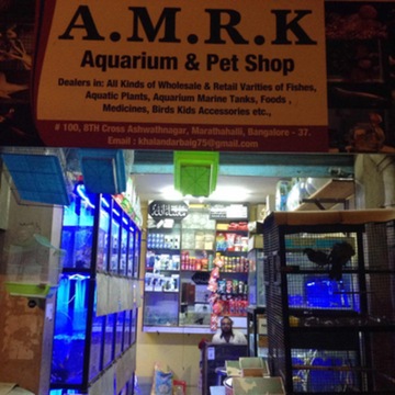 A M R K Aquarium Pet Shop in Marathahalli Bangalore Best Aquarium Accessory Dealers near me in Bangalore Justdial