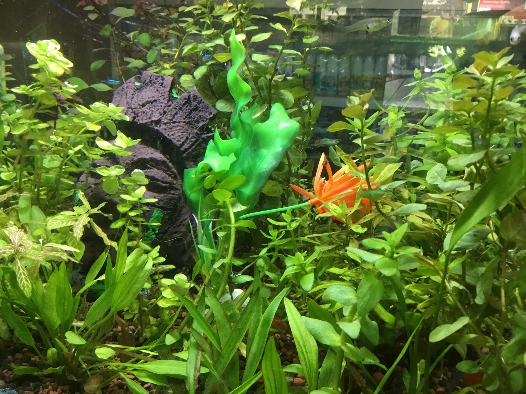 Lab view 2