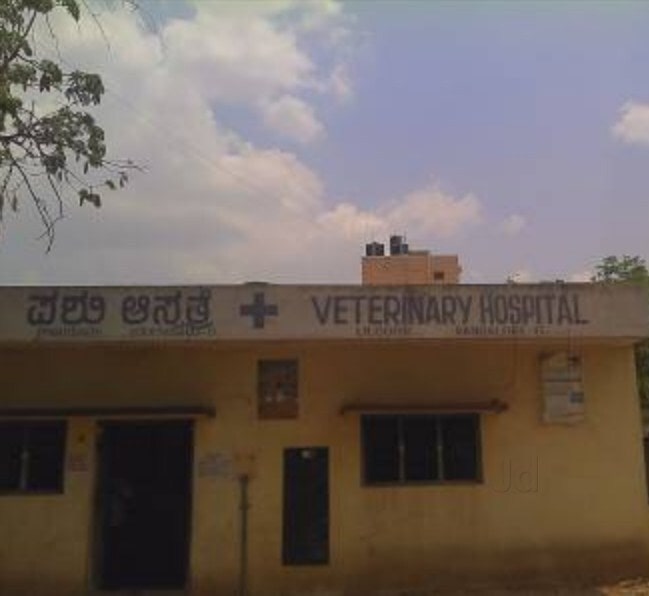 Bangalore Pet Hospital Near Me National City Paradise Valley Pet