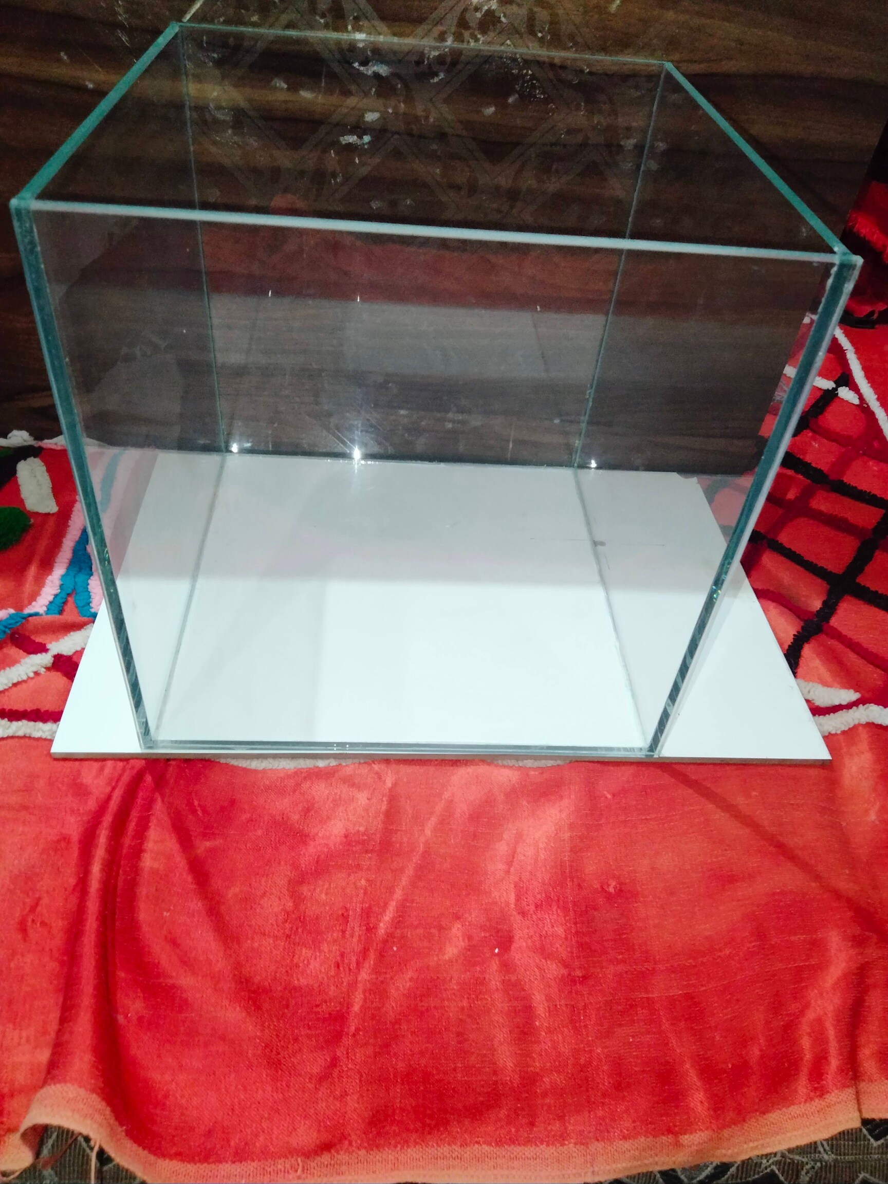 A To Z Aquarium in New Gurappanapalya-BTM Layout 1st Stage