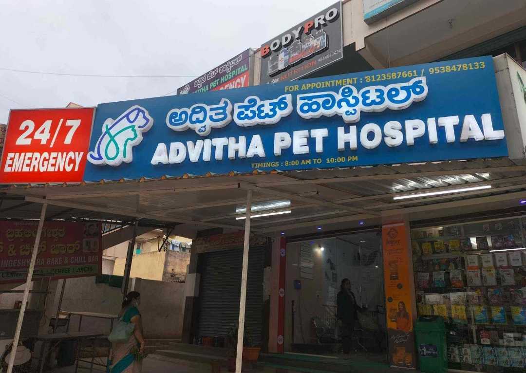 Dog Vet Offices Near Me Veterinarian In Durham, NC New Hope Animal Hospital