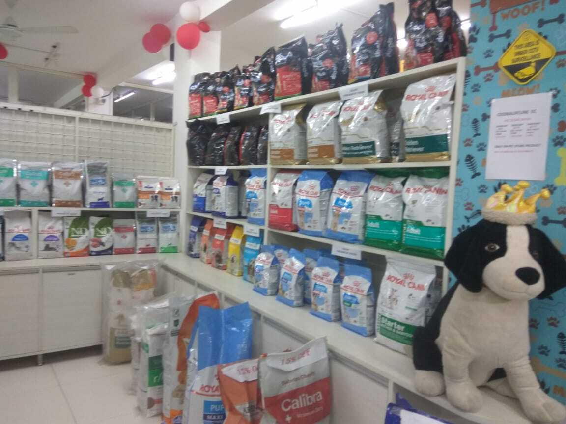 Cessna Lifeline Veterinary Care Clinic in Singasandra,Bangalore Best