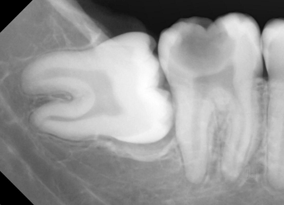 Dental Care Clinic Kavya Hospital in Bommanahalli,Bangalore Book