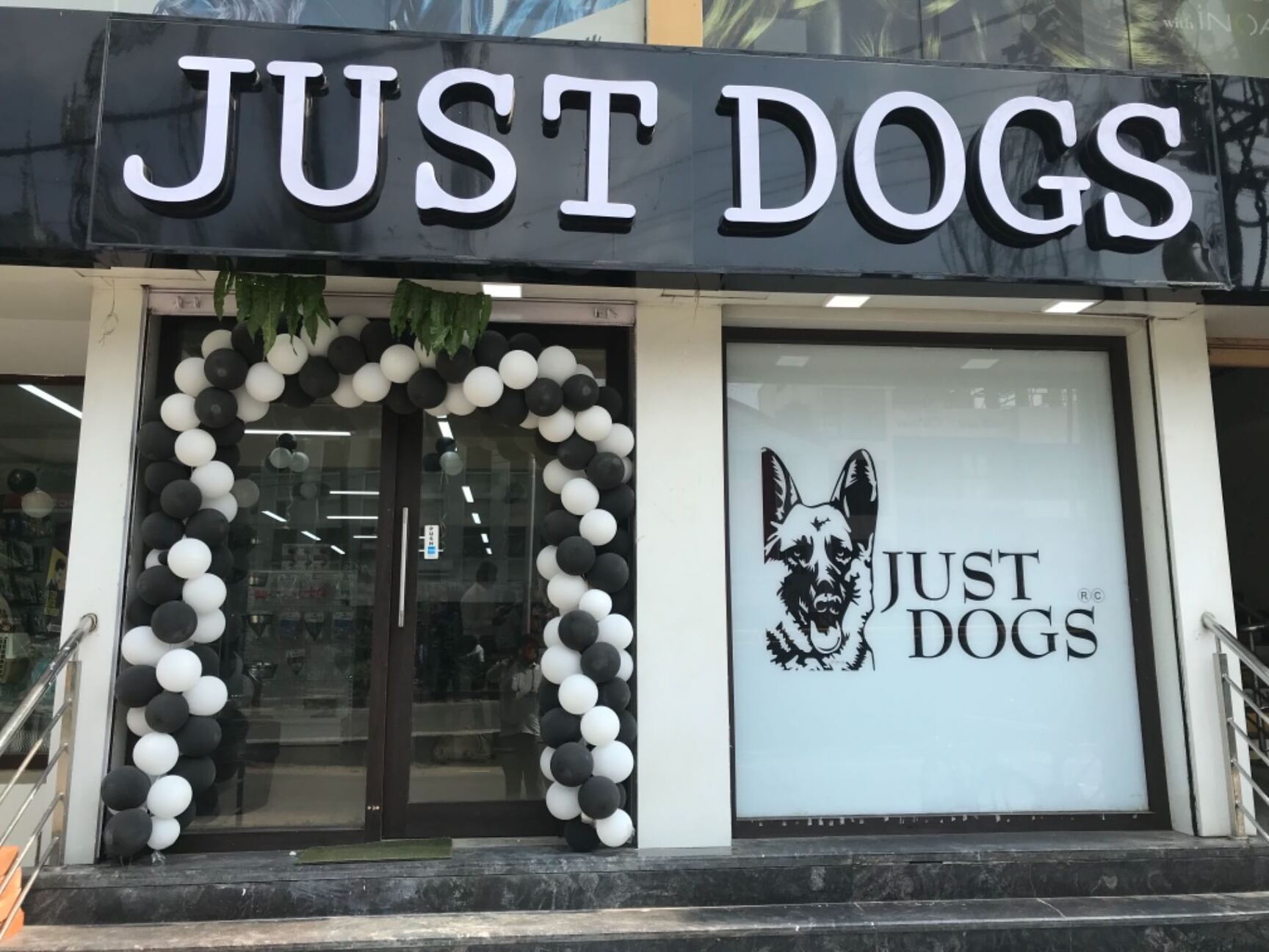 Just for dogs online shop discount