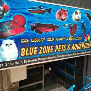 Top Aquarium Koi Fish Dealers in Whitefield Bangalore Justdial