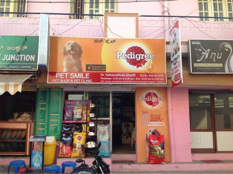 Any pet shop nearby clearance