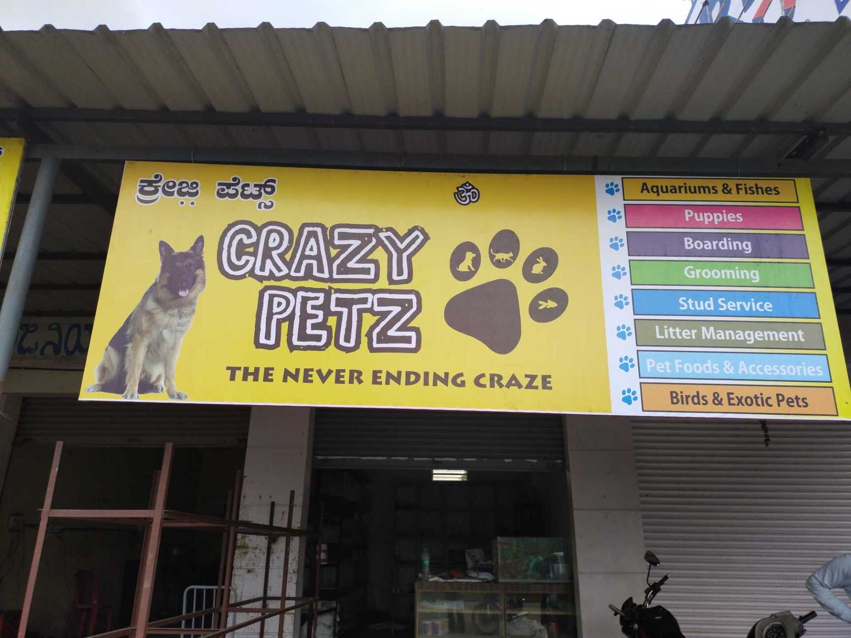 Crazy Petz in Tarabanahalli,Bangalore Best Pet Shops For Beagle Dog