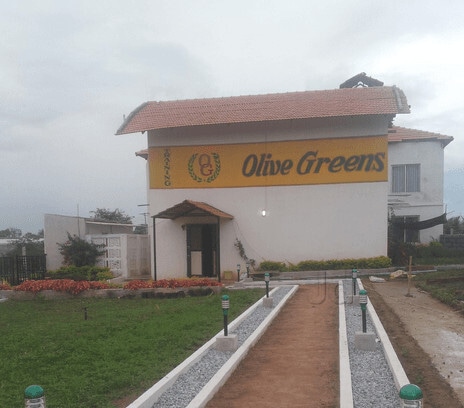 Olive Greens Institute