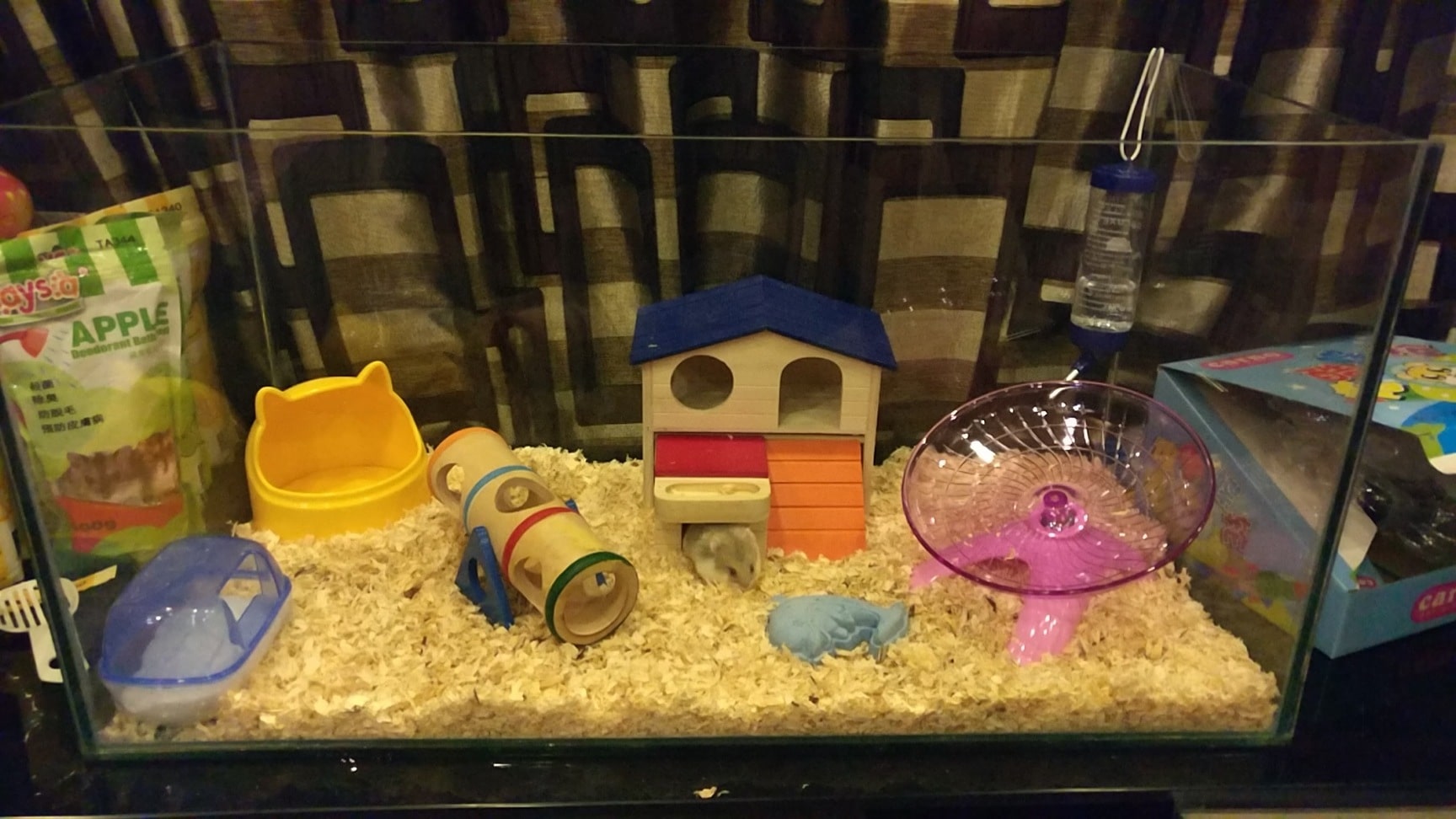 Hamster shop near me clearance
