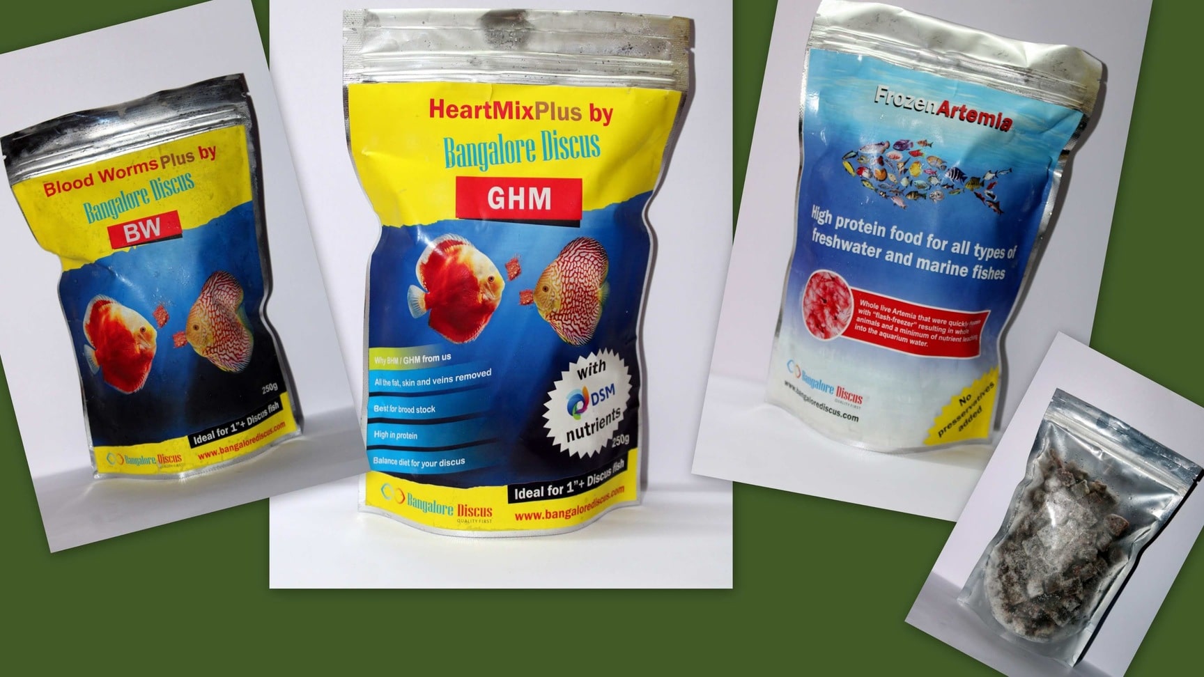 Bangalore Discus in NagadevanahalliGnanabharathi,Bangalore Best