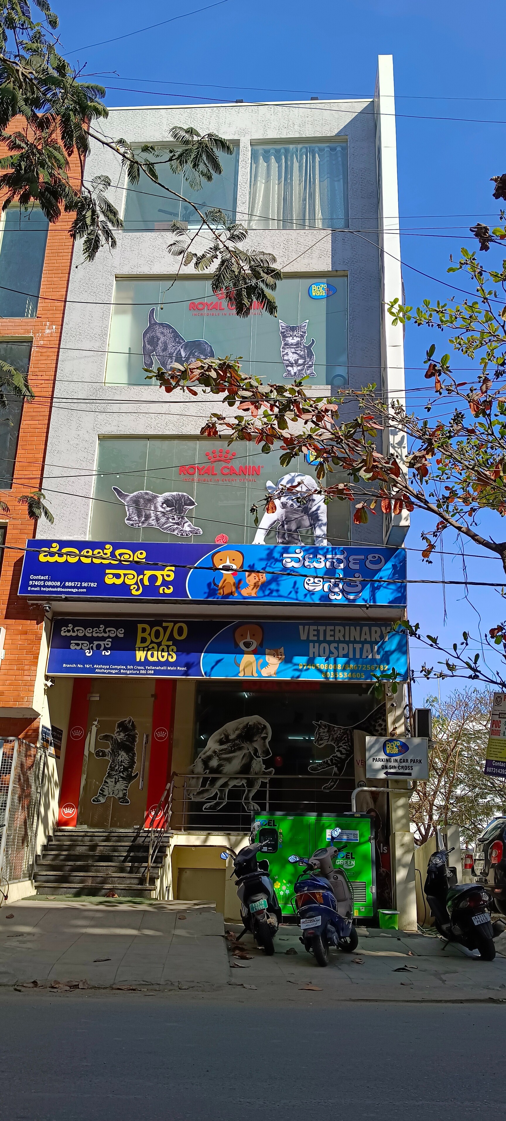 Top Pet Boarding Services in Namakkal near me - Justdial