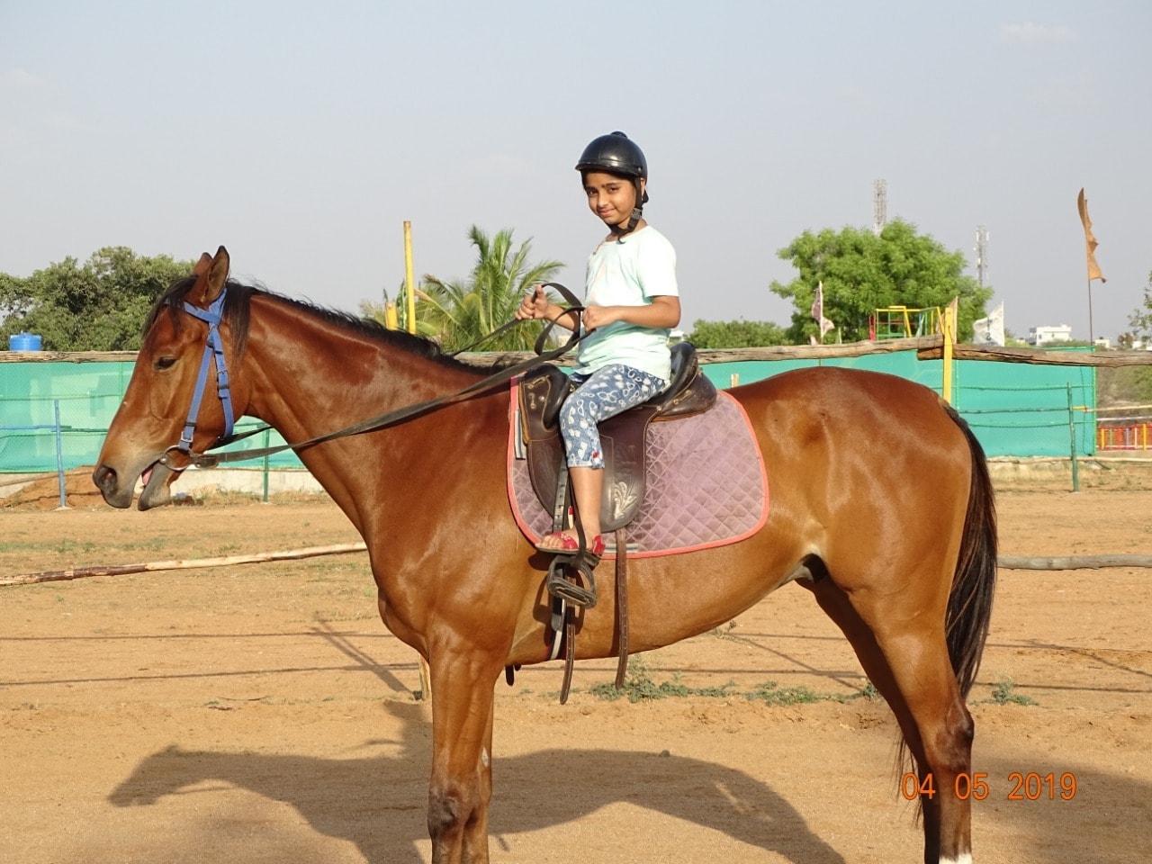 Horse Riding Journey