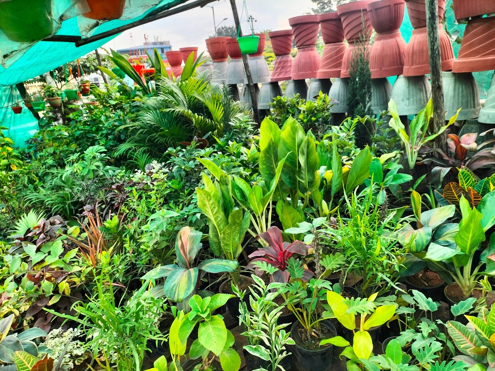 Jk Garden Shop in Laggere,Bangalore Best Plant Nurseries in Bangalore