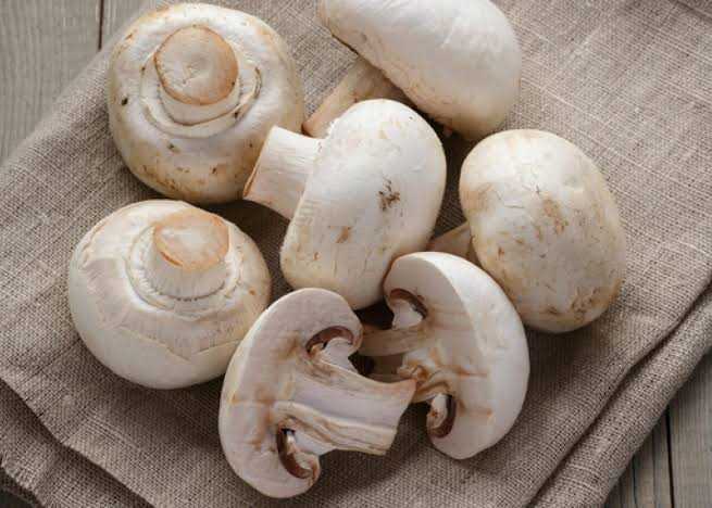 Quality Mashroom Wala in Jp Nagar 7th Phase, Bangalore - Best Mushroom  Wholesalers in Bangalore - Justdial