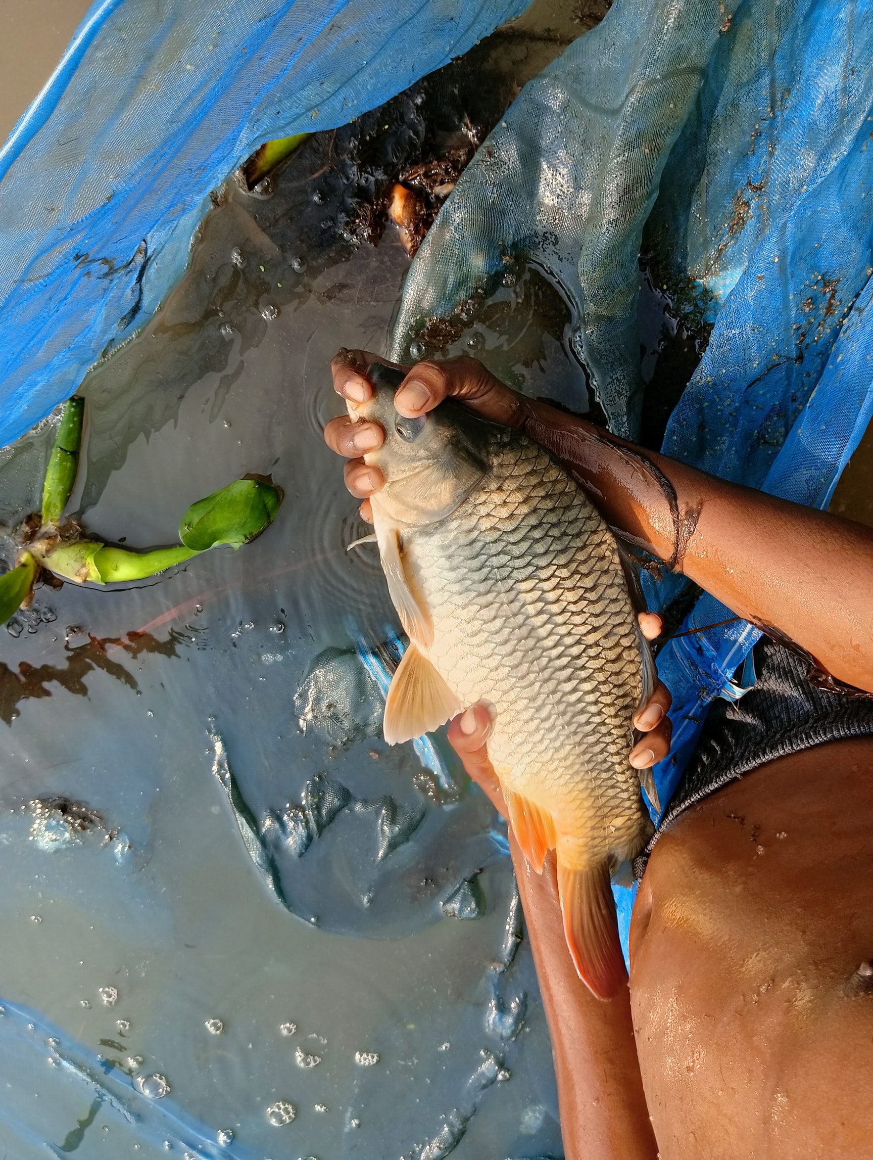 Top Fish Aquarium Dealers in Bargarh - Best Fish Aquarium Shops - Justdial