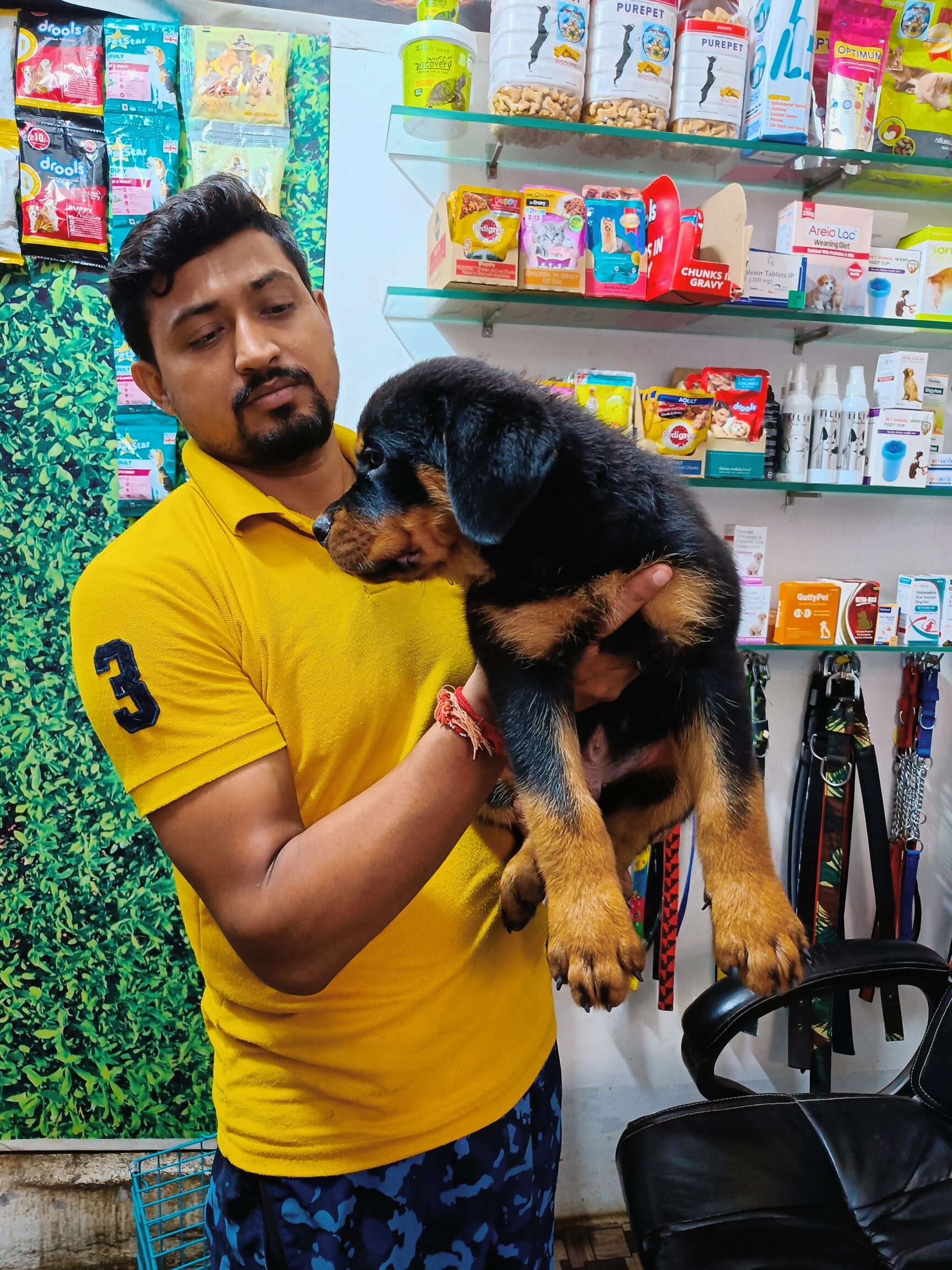 Puppy world pet shop hotsell