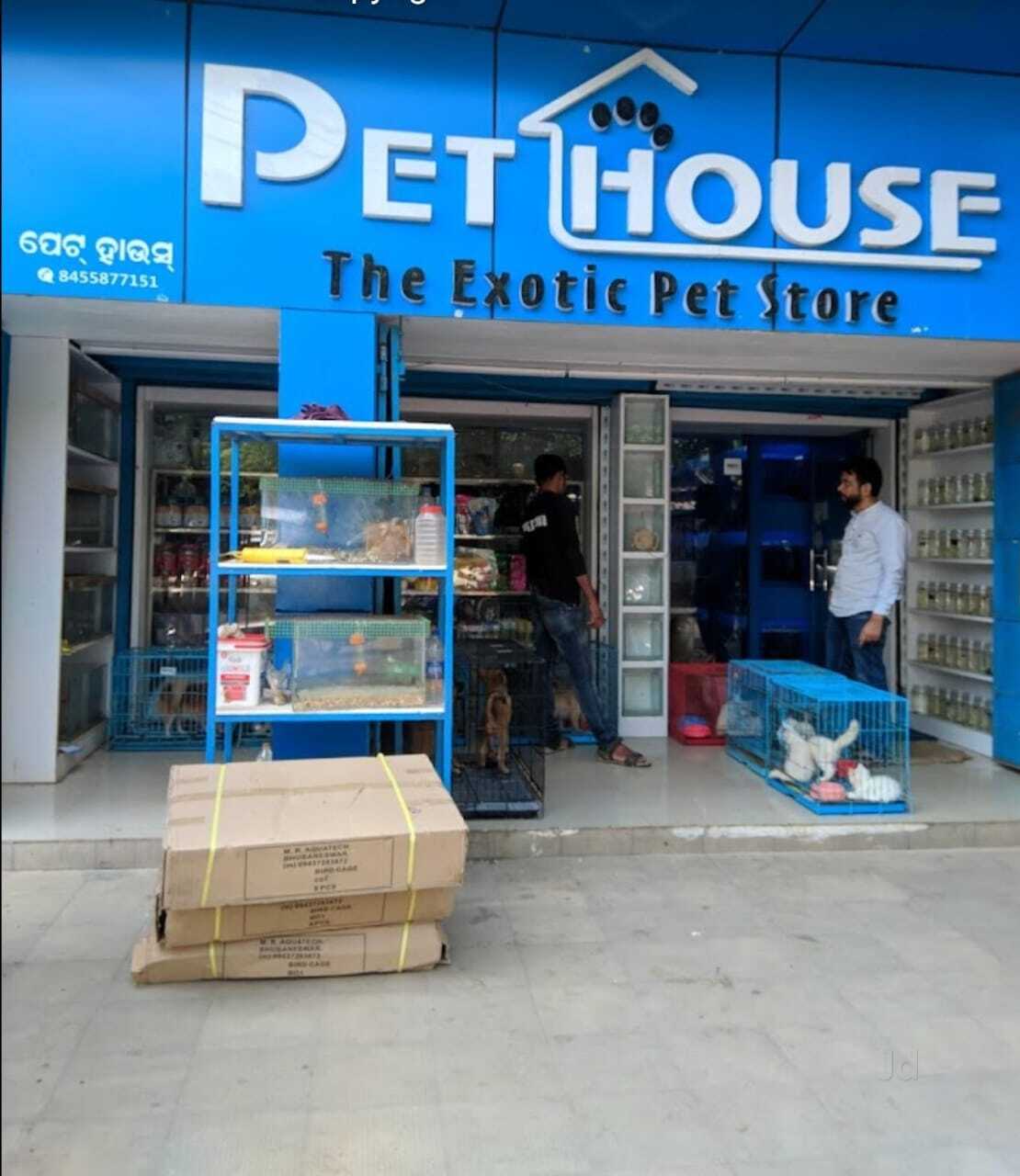 Hot exotic pet dealers near me Store
