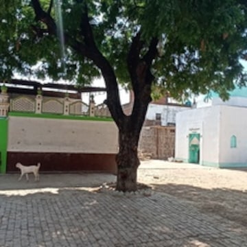 Lab view 5