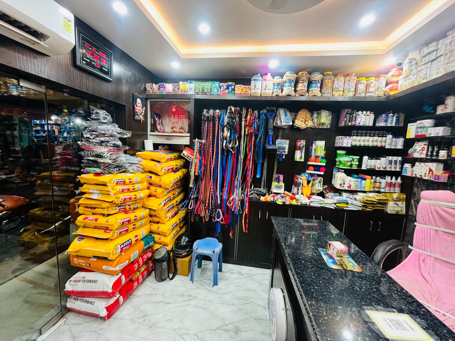 pets-world-municipality-chowk-