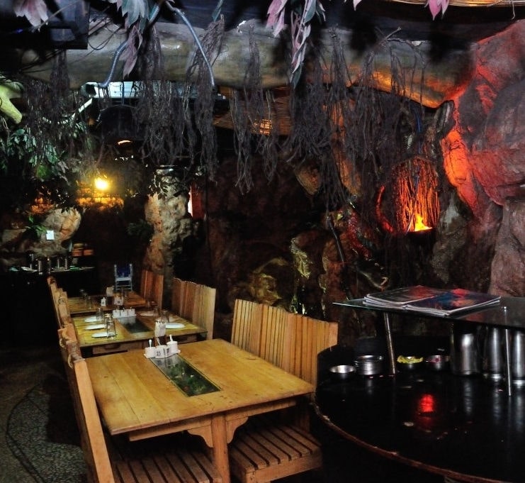 Rain Forest