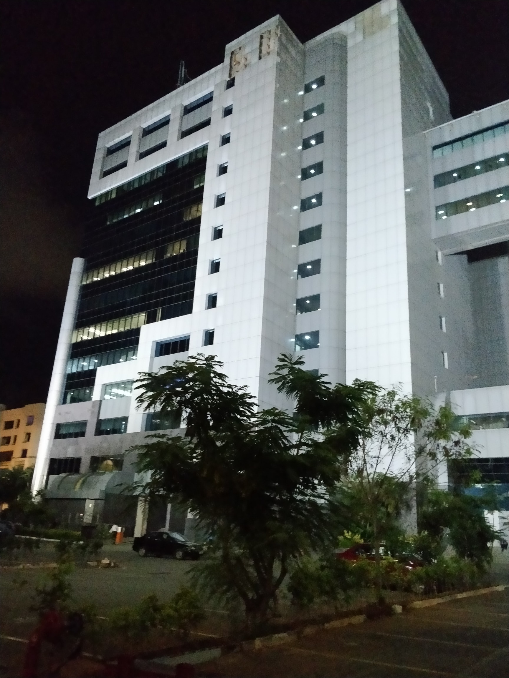 Ernst & Young Services Pvt Ltd