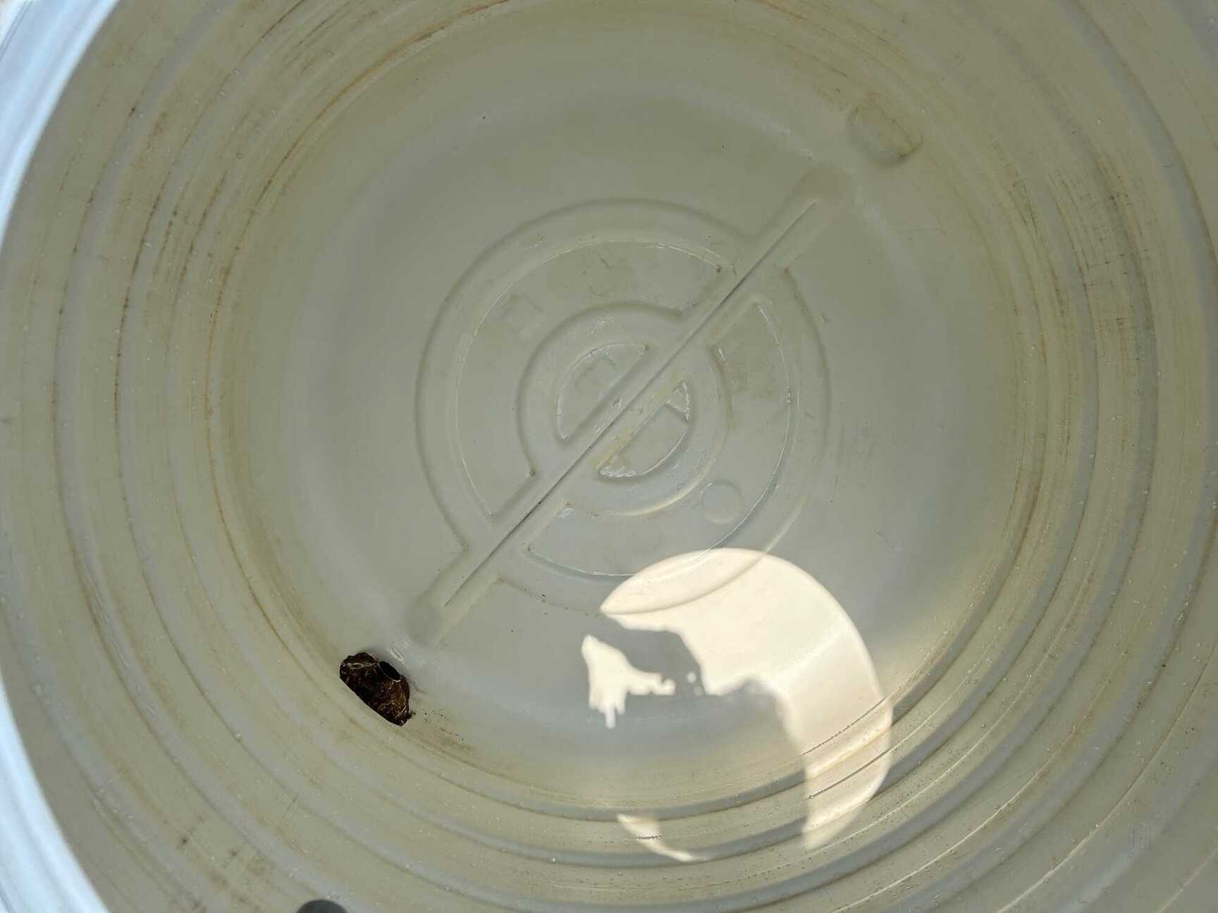 Top Residential Cleaning Services in Neelankarai, Chennai