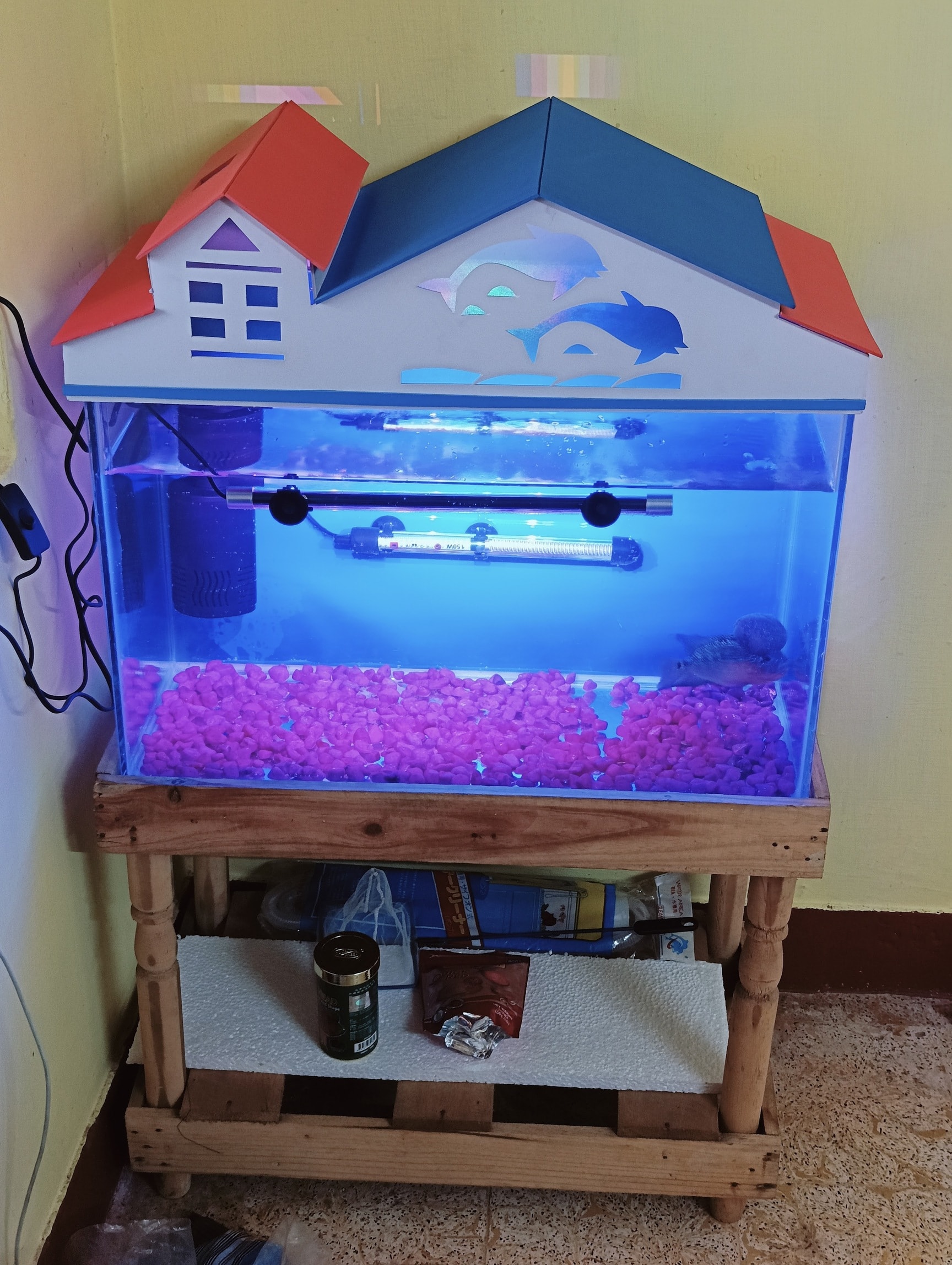 Top Pet Shops in Chennai - Best Pet Store near me - Justdial