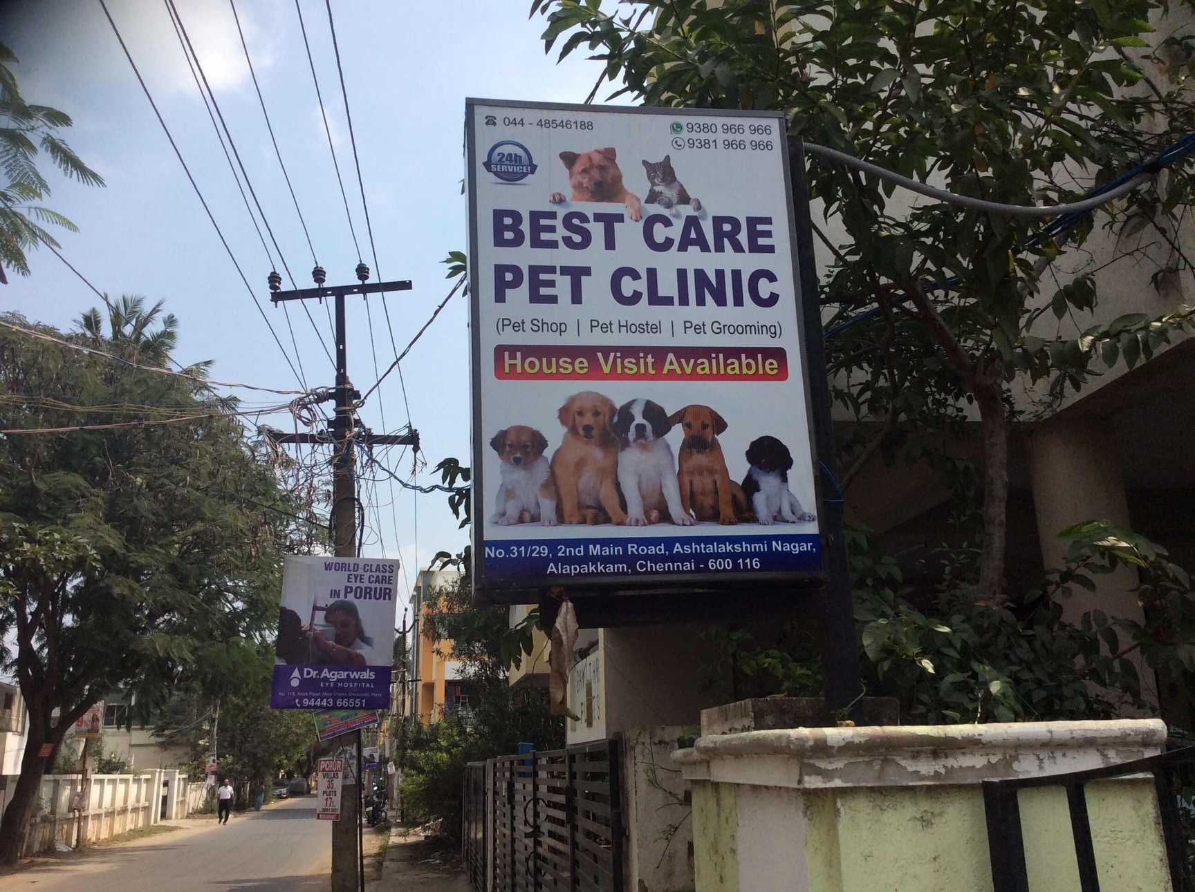Hospital Chennai The Nearest Veterinary Clinic Best Sks Pet Clinic