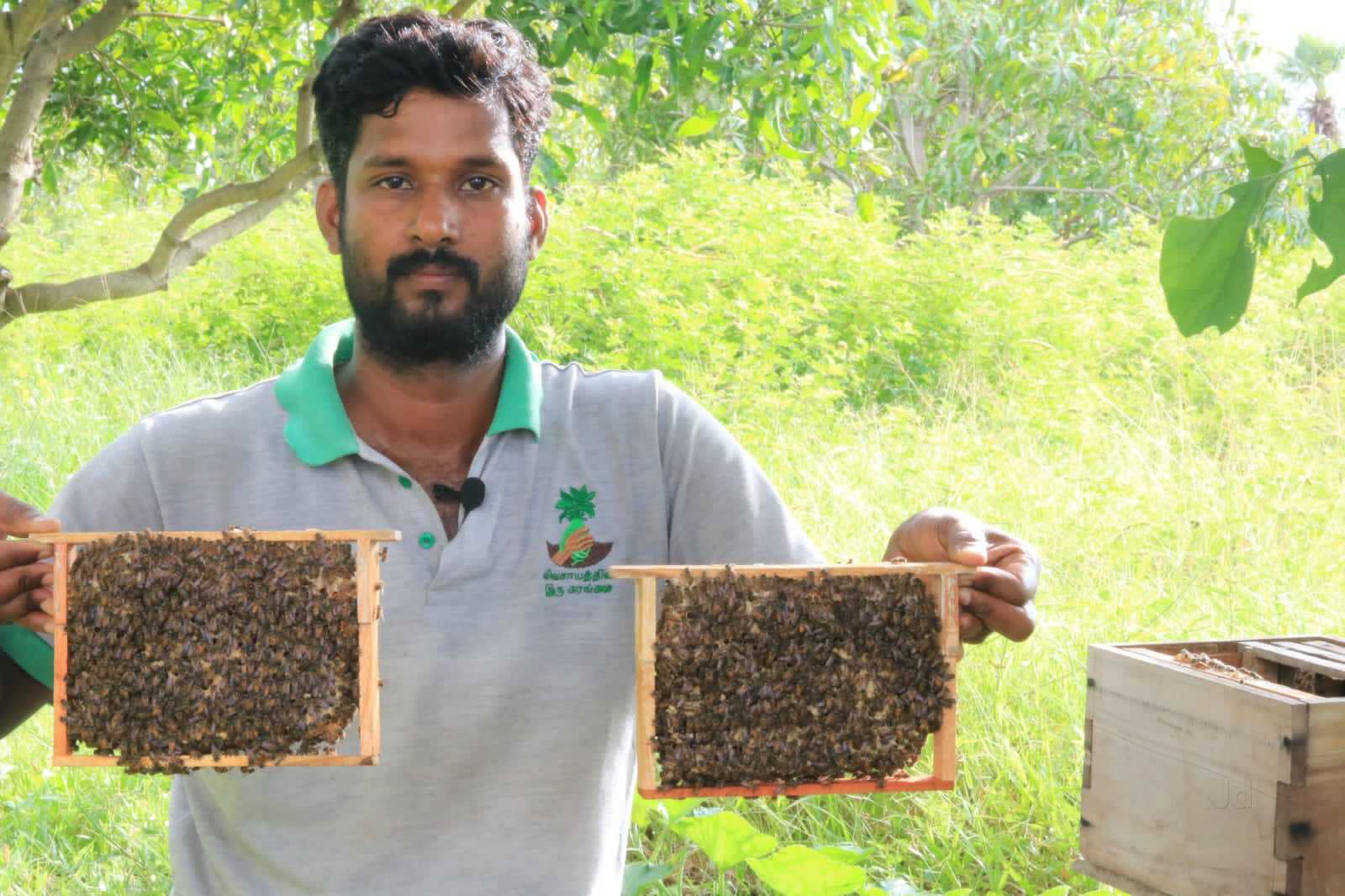 Top Honey Bee Manufacturers in Tirupati near me - Justdial