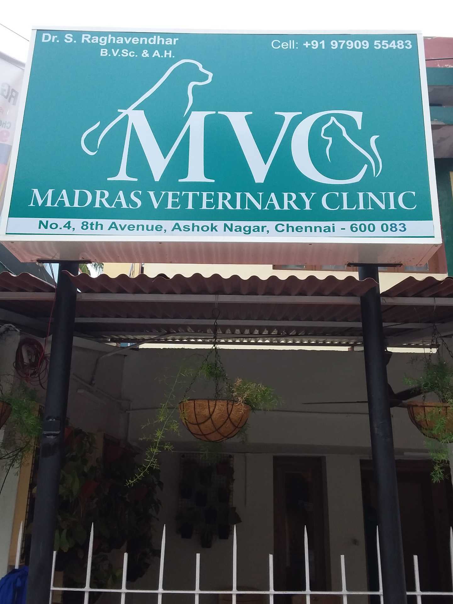 veterinary clinic veterinary dental specialist near me