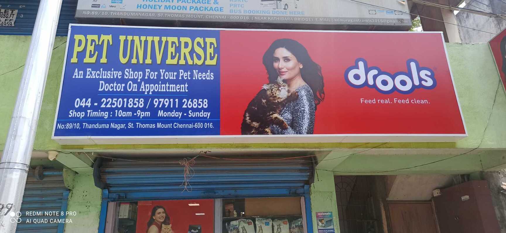 Top Drools Pet Food Wholesalers in Chennai Best Drools Pet Food Wholesalers Justdial