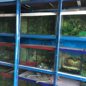 Eden pet supplies and aquarium cheap
