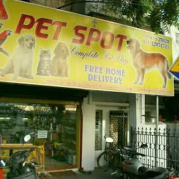 Top Pet Shops For Dog in Velachery Road Velacheri Chennai Best Pet Supplies Store near me Justdial