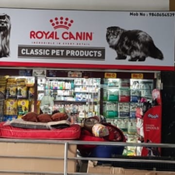 Top Pet Shops For Hamster in Nungambakkam Best Hamster Dealers Chennai Justdial