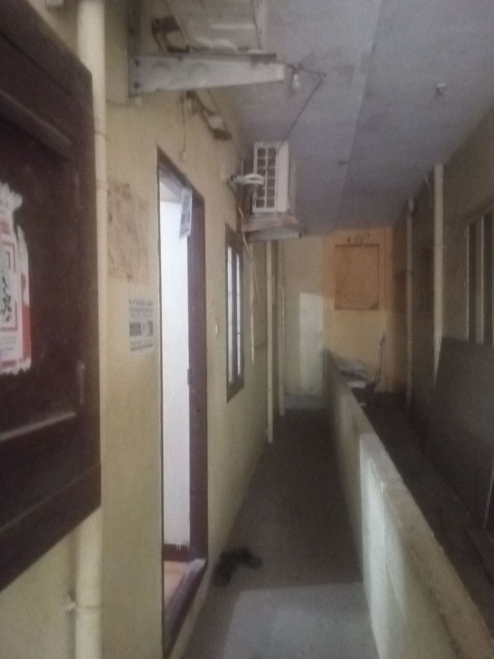 Star Rainbow Services - Image 5