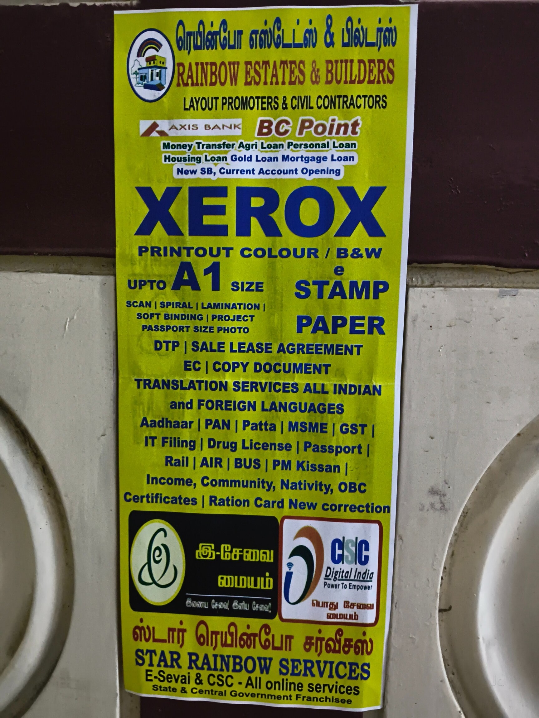 Star Rainbow Services - Image 6