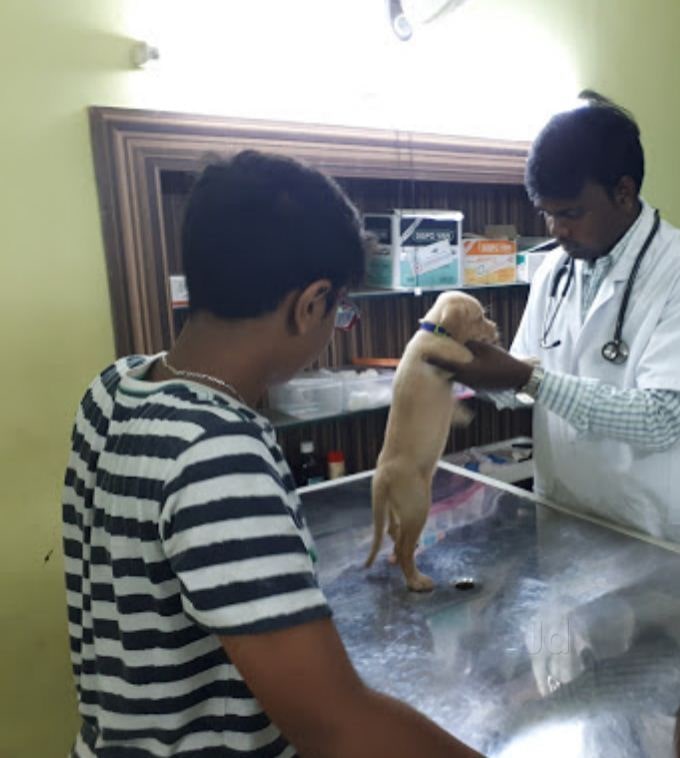 Discount thanigai pet care hospital Factory Sale