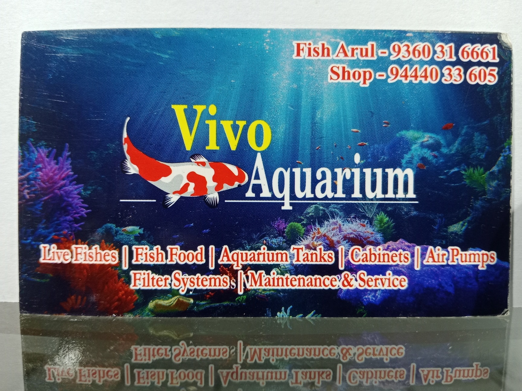 fish tank accessories sale in chennai PetzLifeworld Colourfull Pipeapple House Aquarium Decoration  PetzLifeWorld Top Fish Tank Dealers in