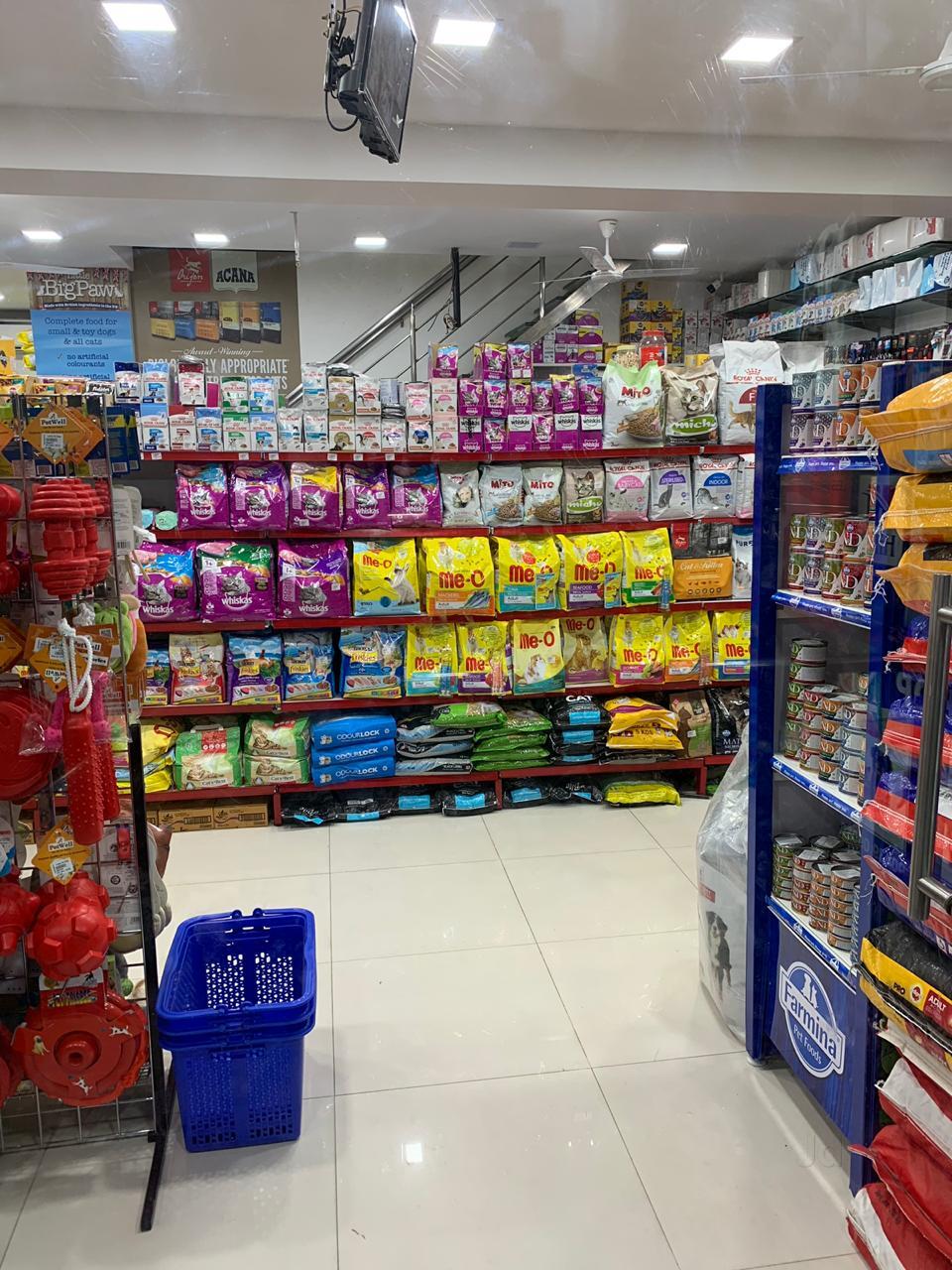 In Chennai Pet Sale Shop Near Me Thiruvananthapuram Pomeranian Pet