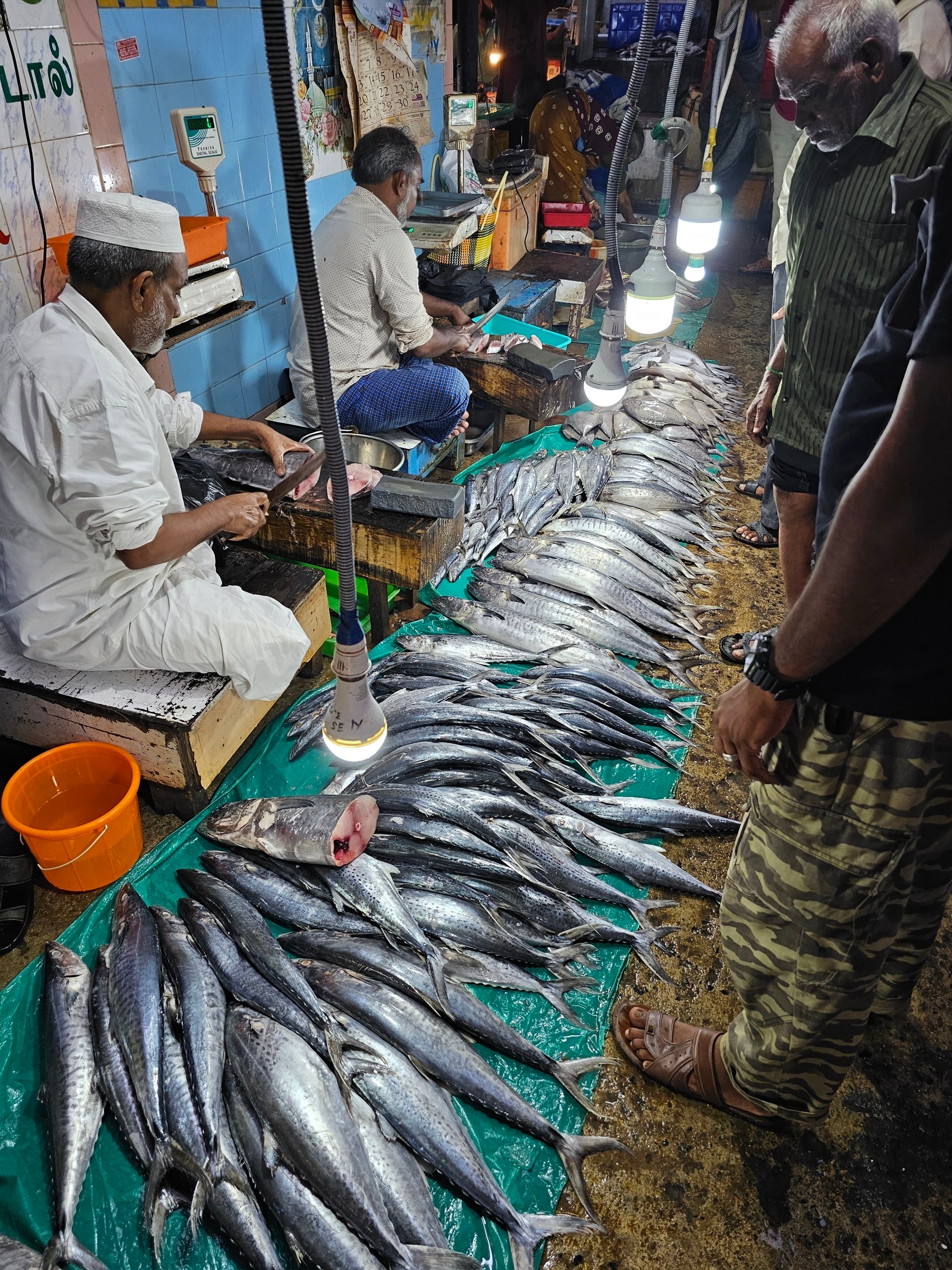 Fish Retailers in Tindivanam - Fish Suppliers - Justdial