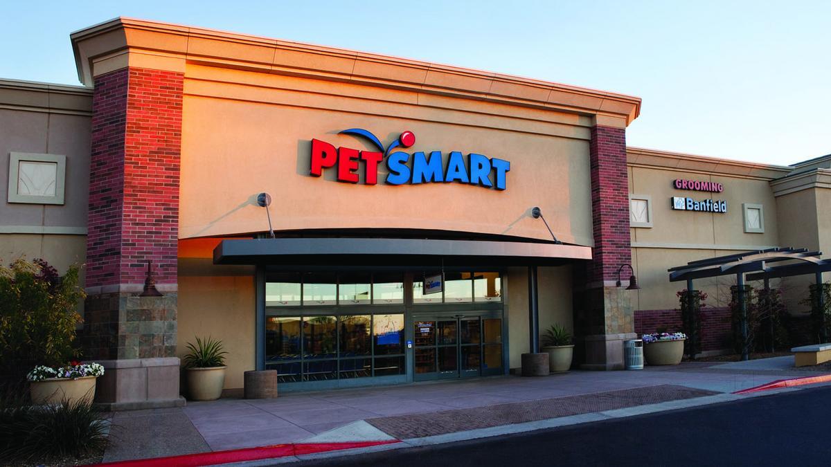 Petsmart in Mylapore Chennai Best Pet Shops near me in Chennai Justdial