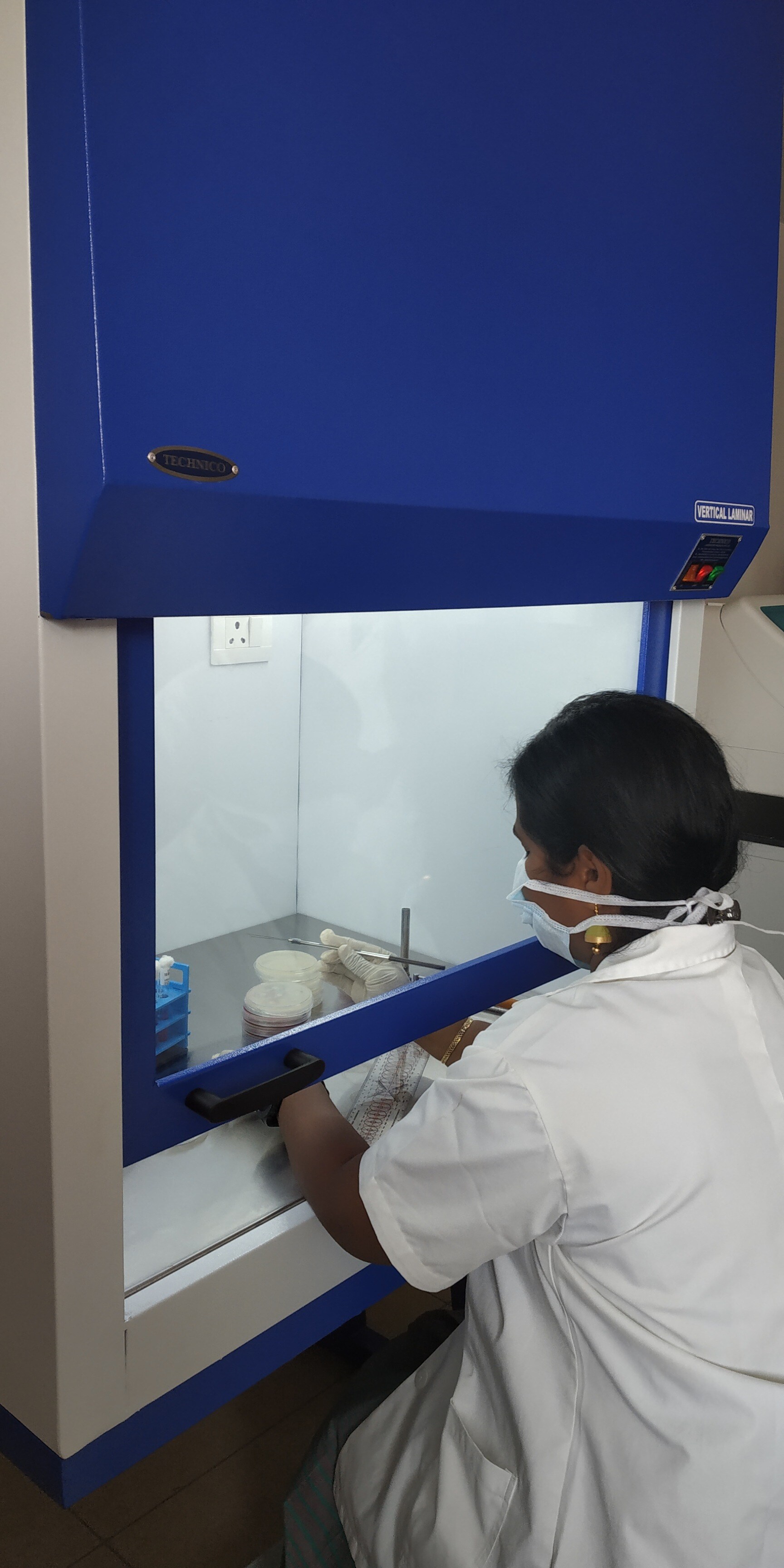 Lab view 7