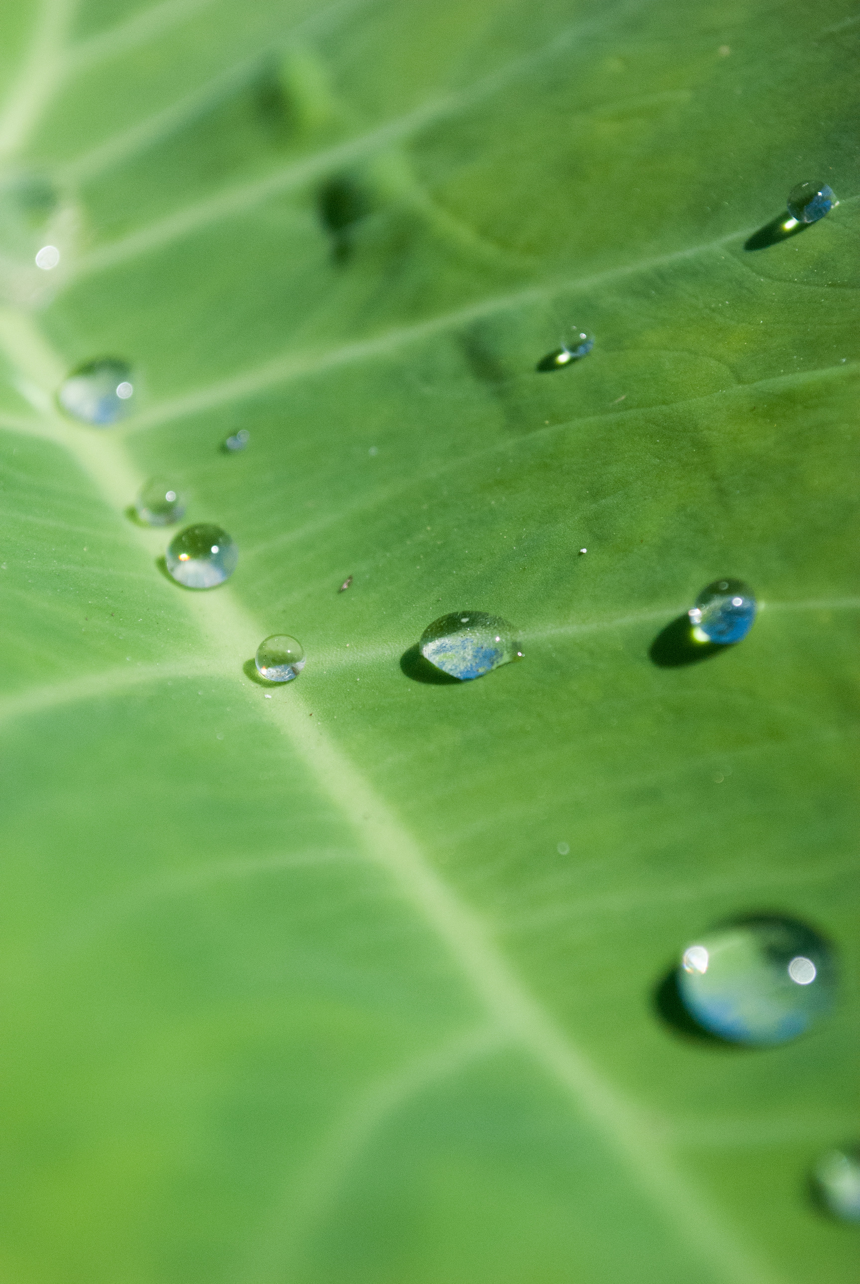 List of nearest Laboratory Testing Services For Water in Kannur | Justdial