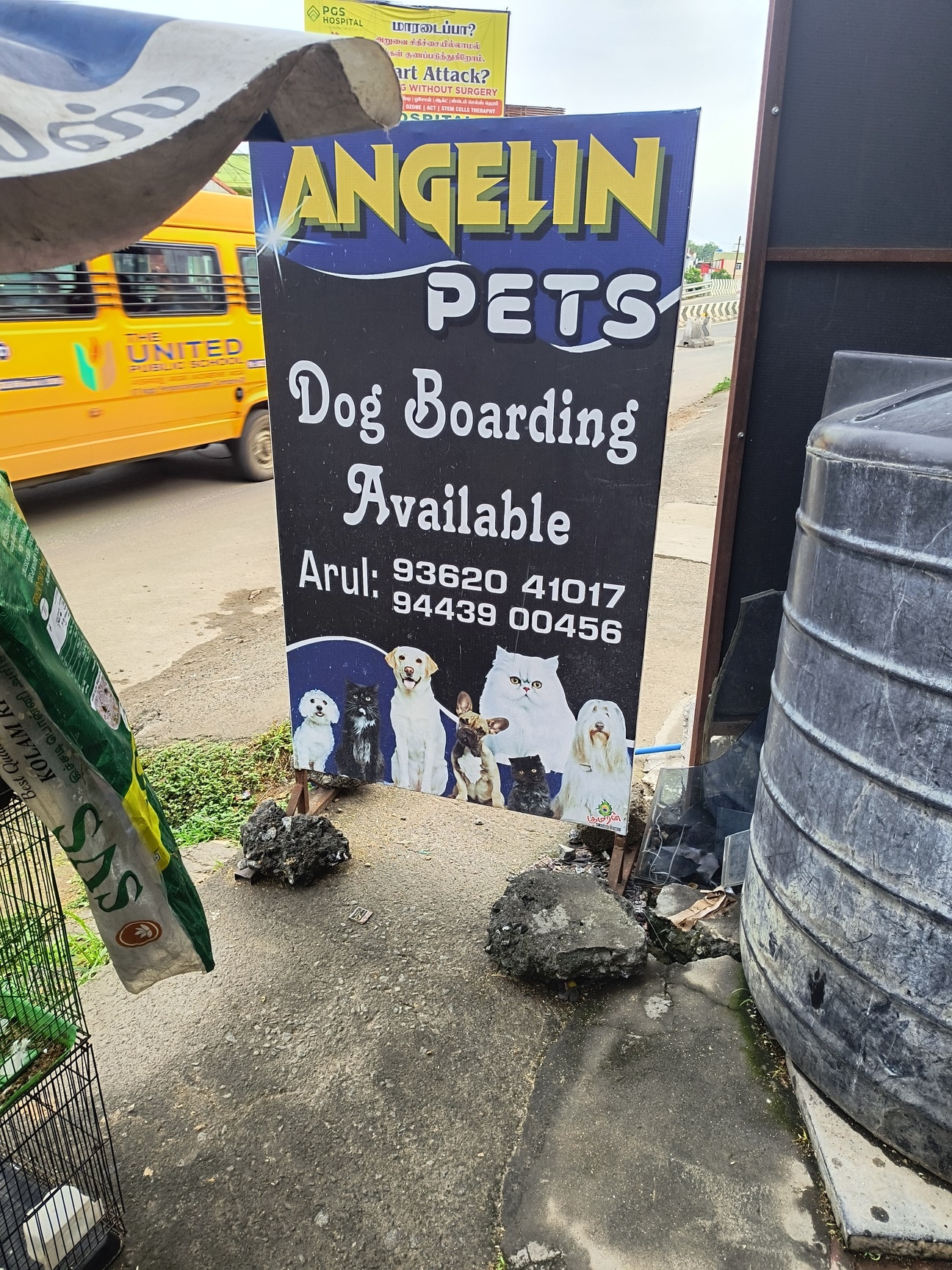 Top Pet Care Takers in Veerapandi Pirivu - Best Dog Care