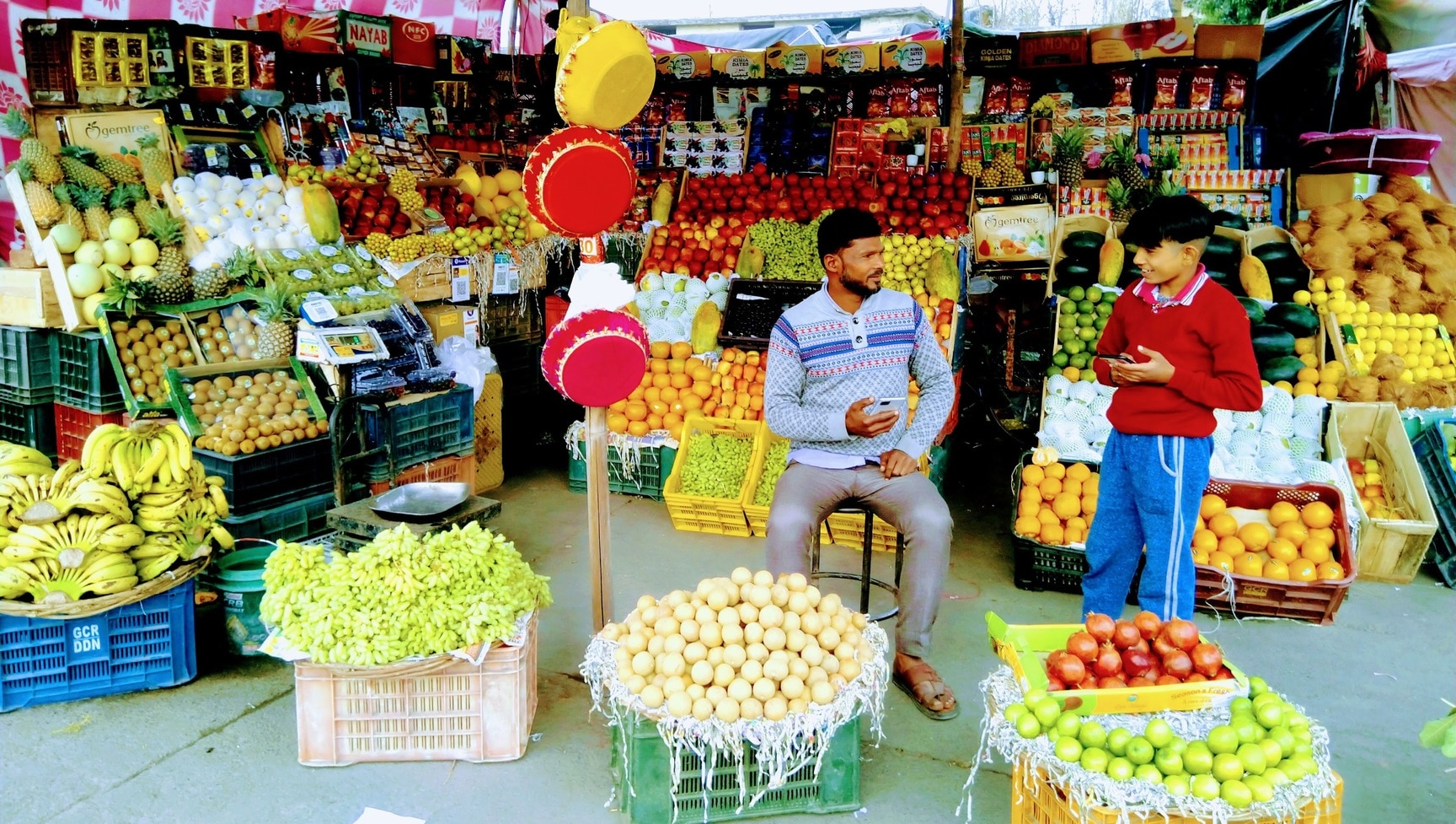 Potato Wholesalers in Solan - Bulk Potato Suppliers & Dealers