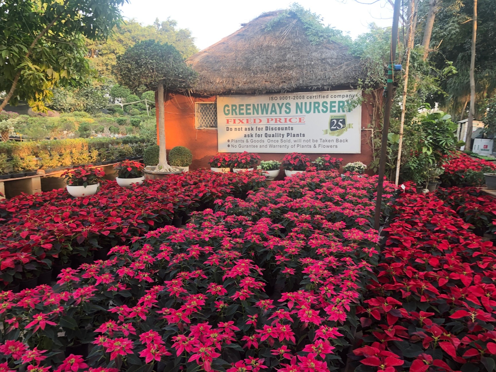 Greenways Nursery in Fatehpur Beri,Delhi - Best Plant Nurseries near me in  Delhi - Justdial