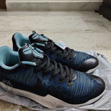 nike mamba rage blue frog